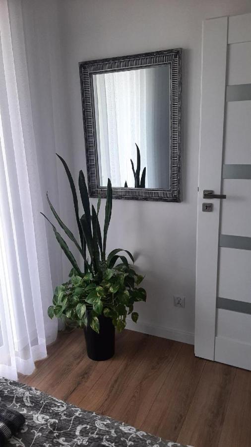 Apartament Z Widokiem Łańcut מראה חיצוני תמונה